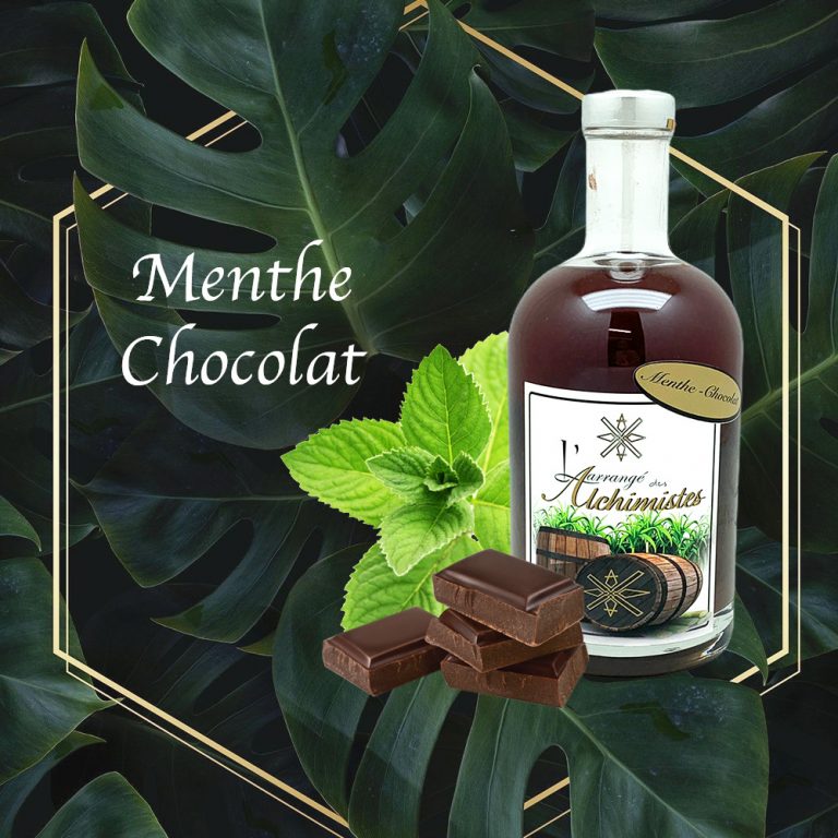 Menthe chocolat fiche technique